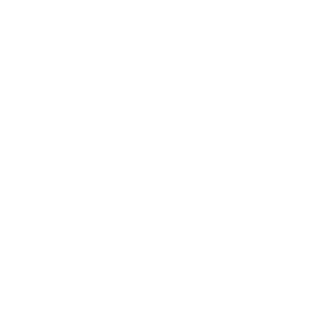 SONEVOX